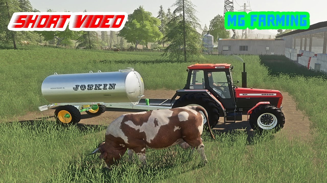 Adding Straw to shed bed and Watering Cows|fs19