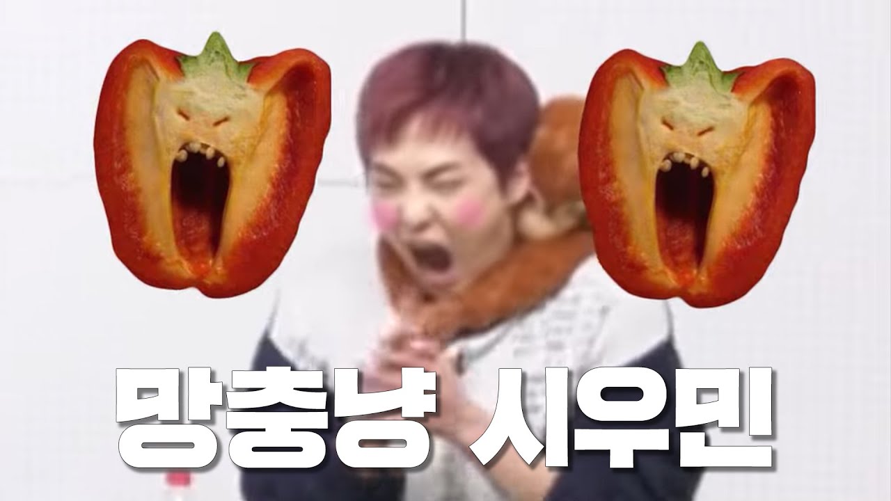시우민 망충미