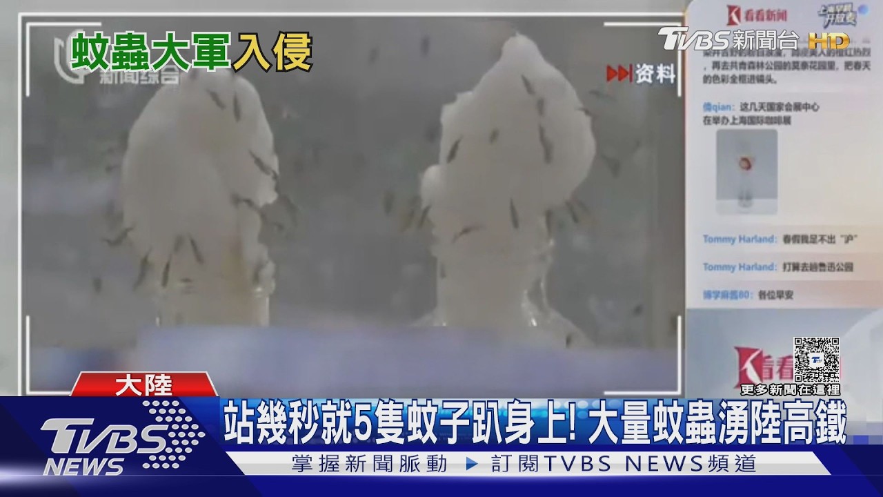 陸高鐵車廂狂打蚊子 「蚊子史詩級加強」衝熱搜 ｜TVBS新聞 @TVBSNEWS01