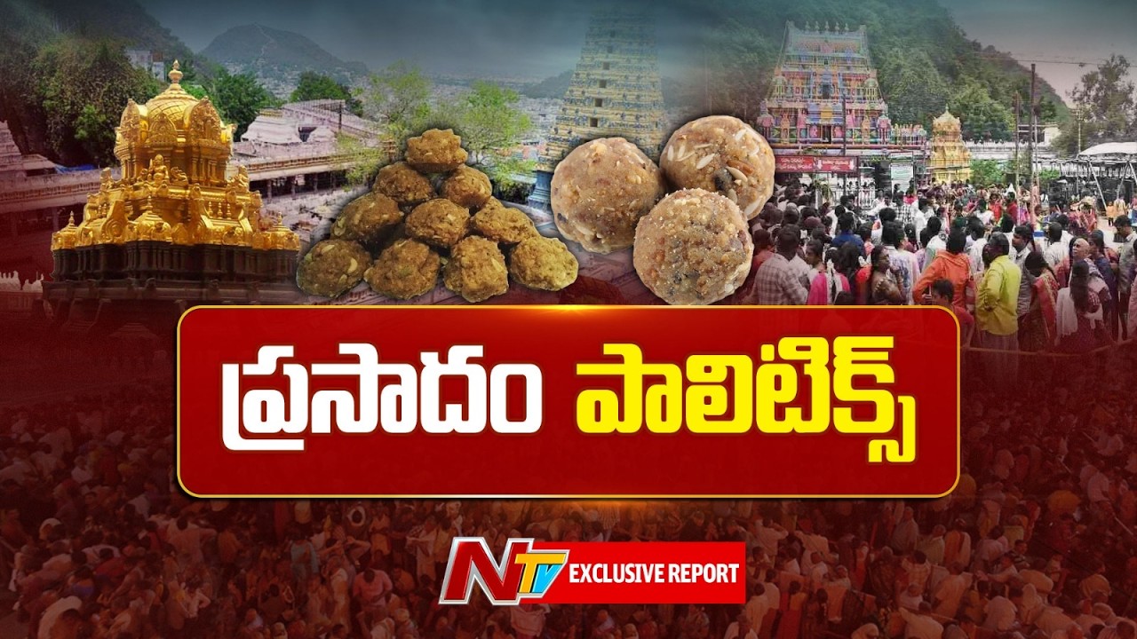 TTD Laddu Ghee Adulteration Issue: వైసీపీ, కూటమి నేతలు ఆరోపణలు, కౌంటర్లతో హీటెక్కుతున్న రాజకీయం
