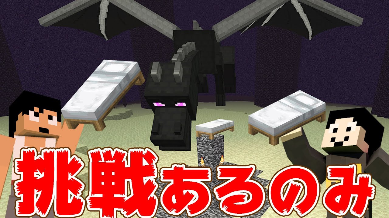 【エンドラRTA】エンドラRTA最速記録を大幅に更新！！