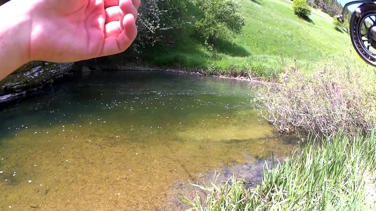 Pêche de la Truite au Toc en Vercors