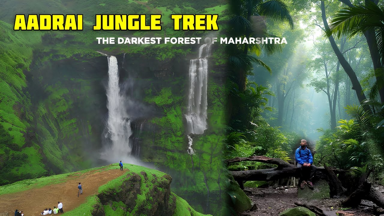 AADRAI JUNGLE Trek - The Dark Forest Of Maharashtra | Aadrai Jungle Monsoon Complete Information