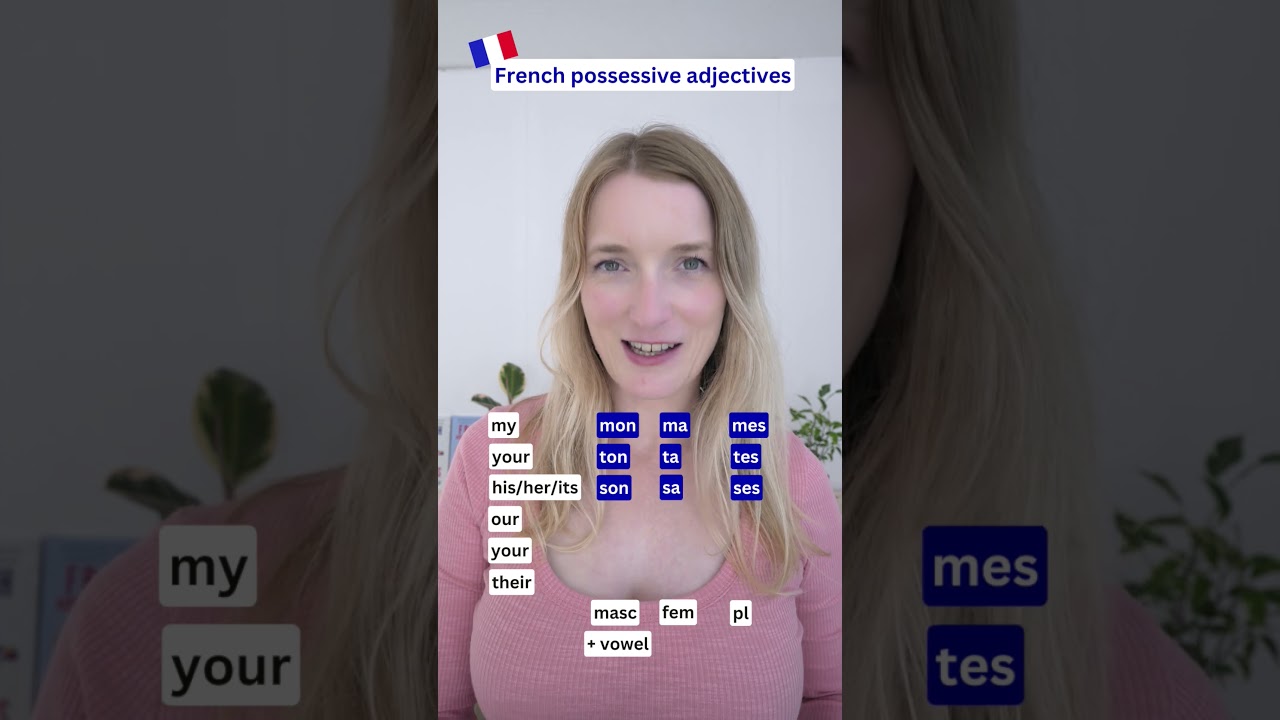Let's Review Your French Possessive Adjectives  #frenchforbeginner  #french #grammar