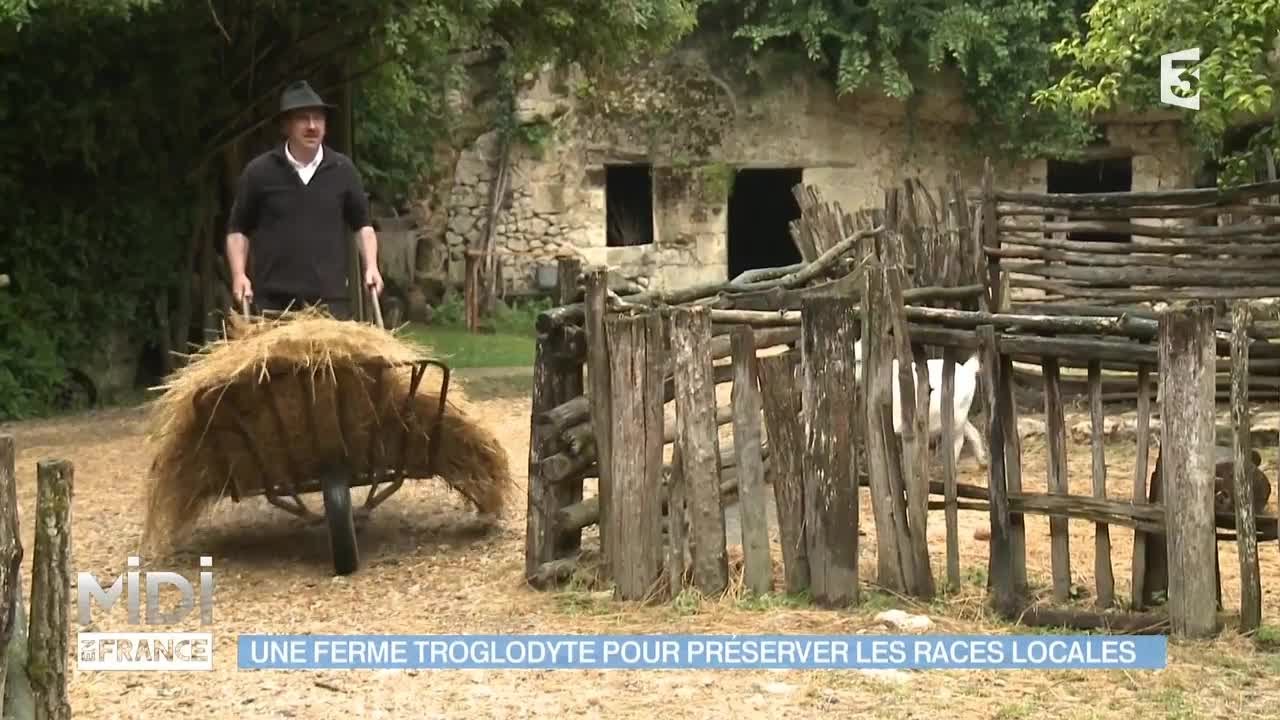 ANIMAUX : Une ferme troglodyte pour préserver les races locales