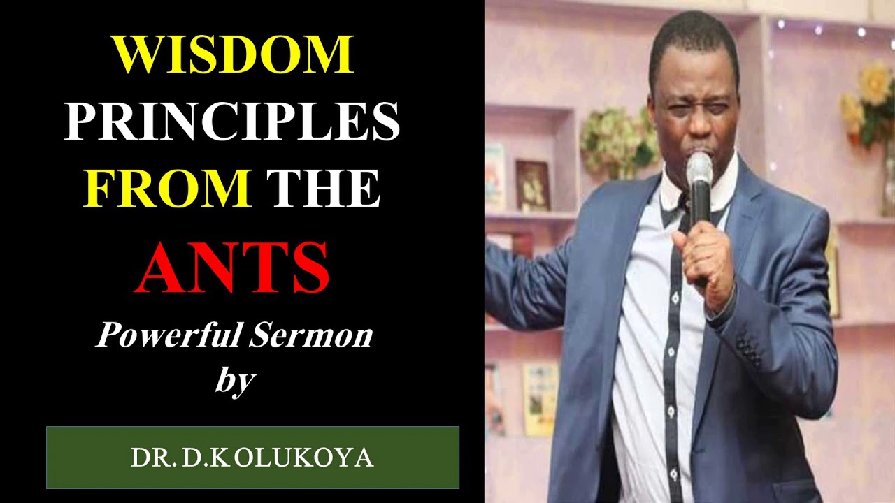 LEARN GREAT LESSONS FROM THE ANTS- WISDOM PRINCIPLES BY DR. D.K.OLUKOYA
