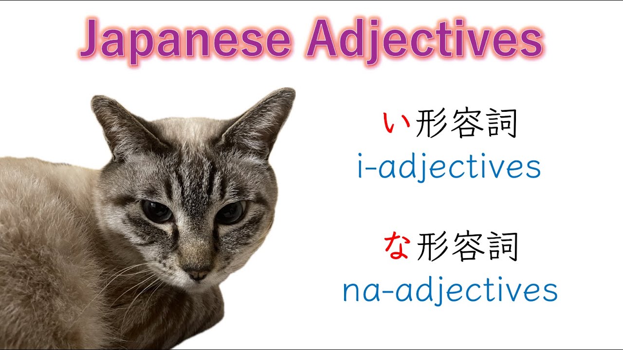 Two types of Adjectives in Japanese: i-adjectives & na-adjectives #Japanese #adjective #日本語
