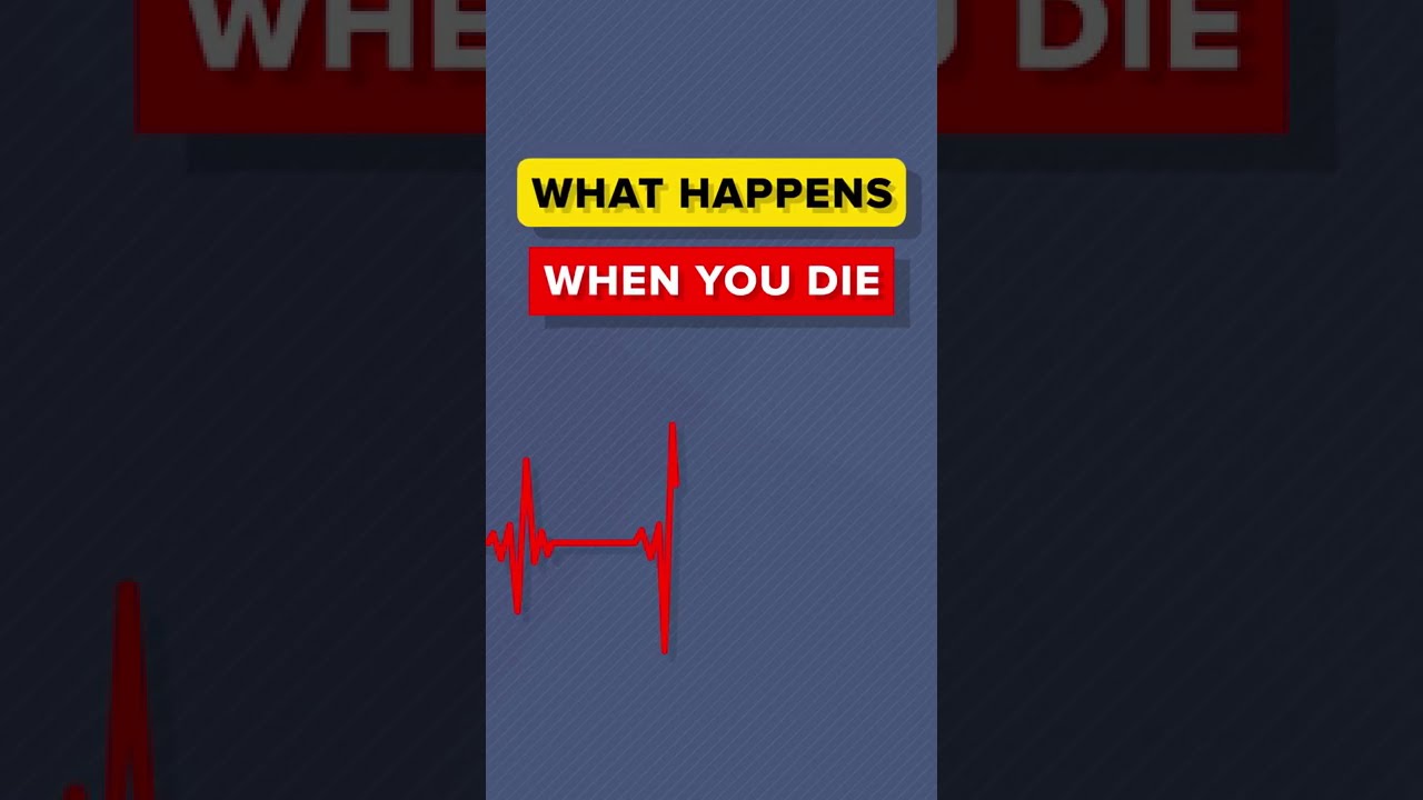 What Happens When You Die