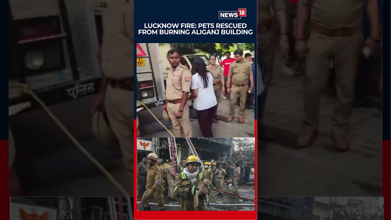 Aliganj Fire Horror: Rescuers Save Pet Cats From Blazing Building As Death Toll Reaches 15 | N18S