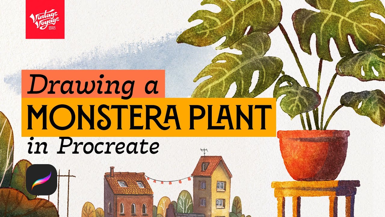Drawing a Watercolour Monstera Plant using VVDS Realistic Watercolor Studio Brushes for Procreate