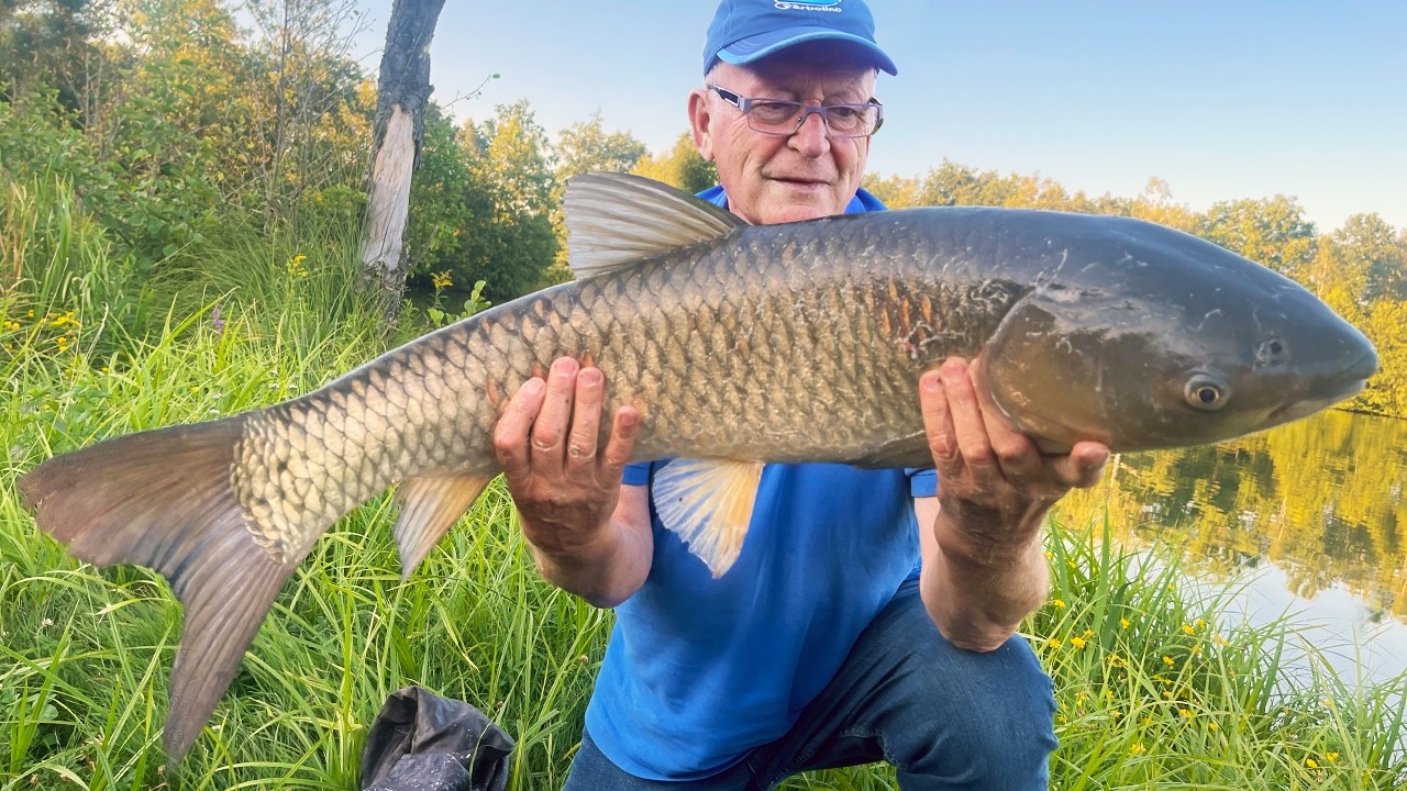 Wielki AMUR i KARPIE na PELLET WAGGLER ze Stachem - łowienie z powierzchni