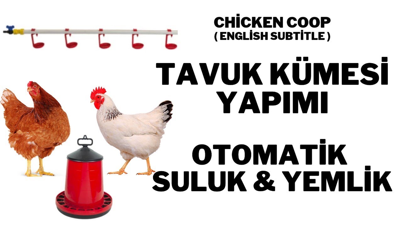 Tavuk kümesi yapımı – Otomatik yemlik – Nipel Suluk - Nasıl yapılır