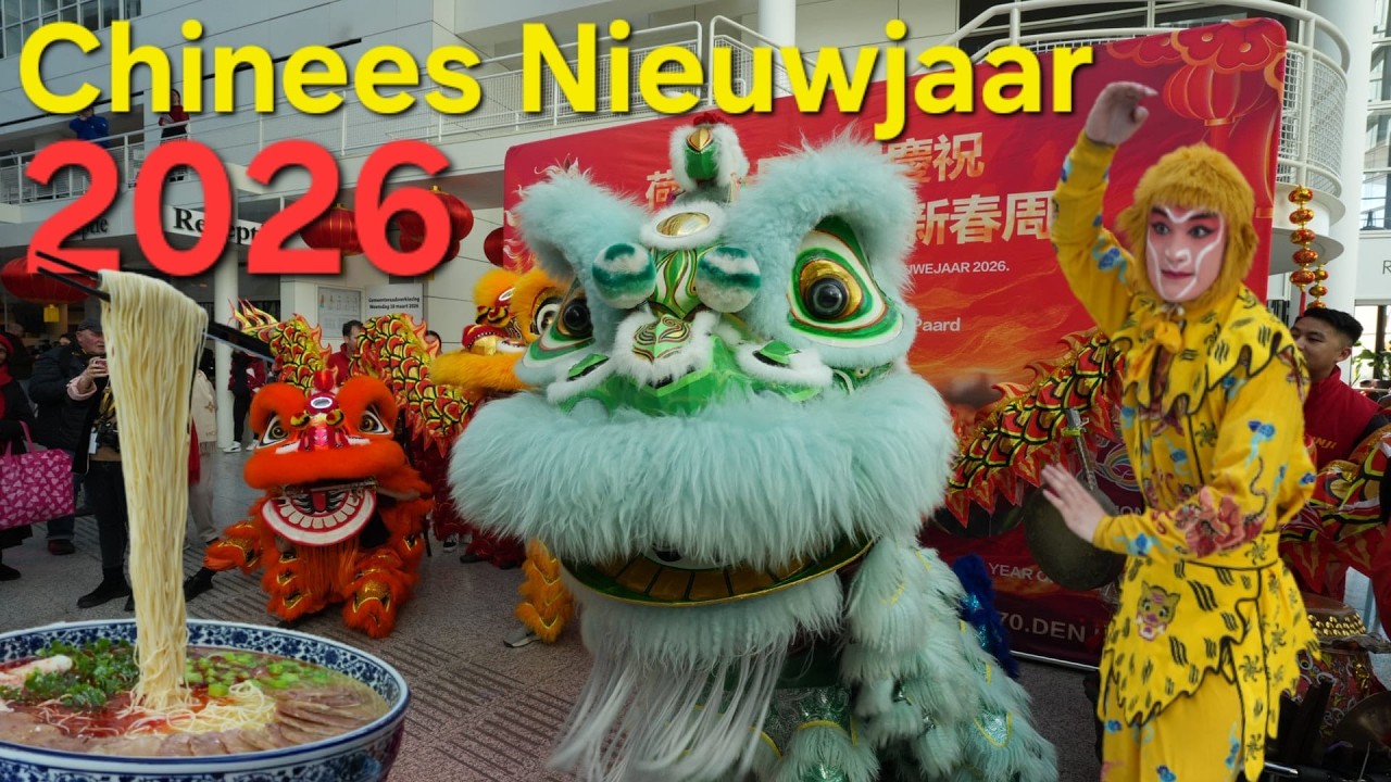 Chinees nieuwjaar 2026💥den haag💥Chinese leeuwen- en drakendans💥Nederland💥Jaar van het Paard💥