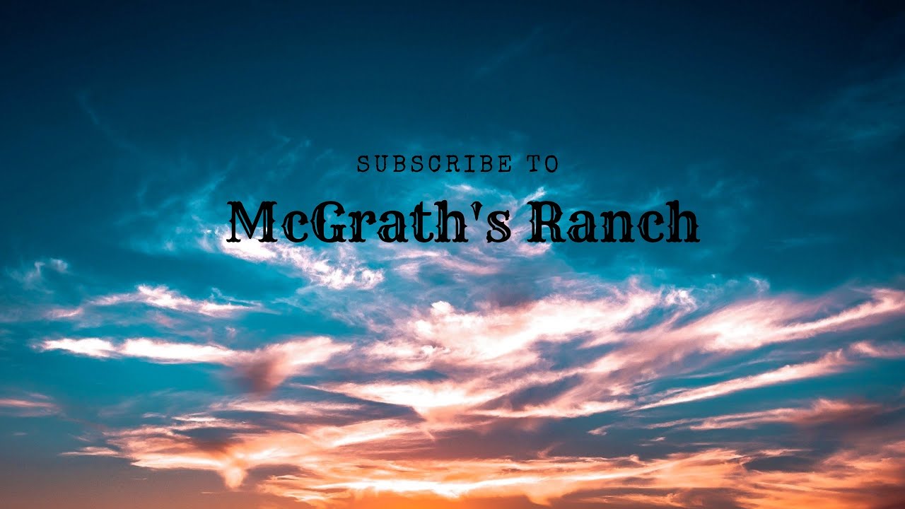 Incubating fertile Chicken eggs!!!