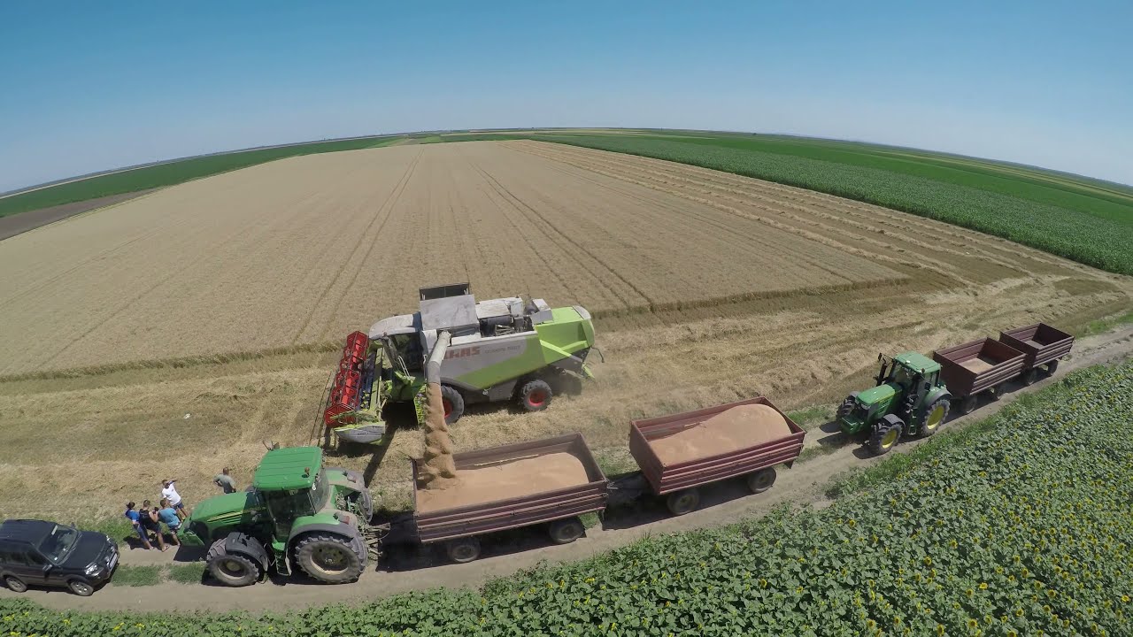 Claas Lexion in FULL POWER