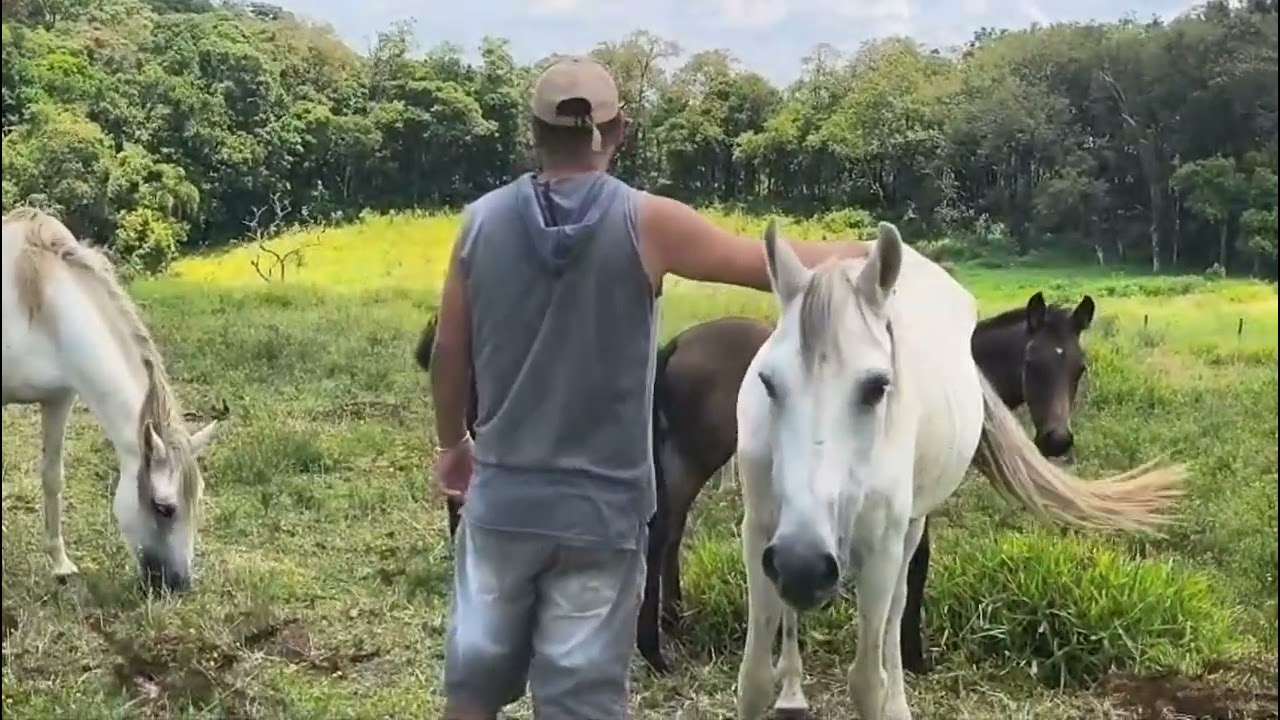 Eu garanto que está roupa era a de ontem kkkkkkkk