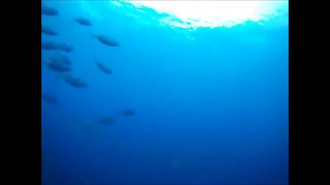 Mergulho Navios