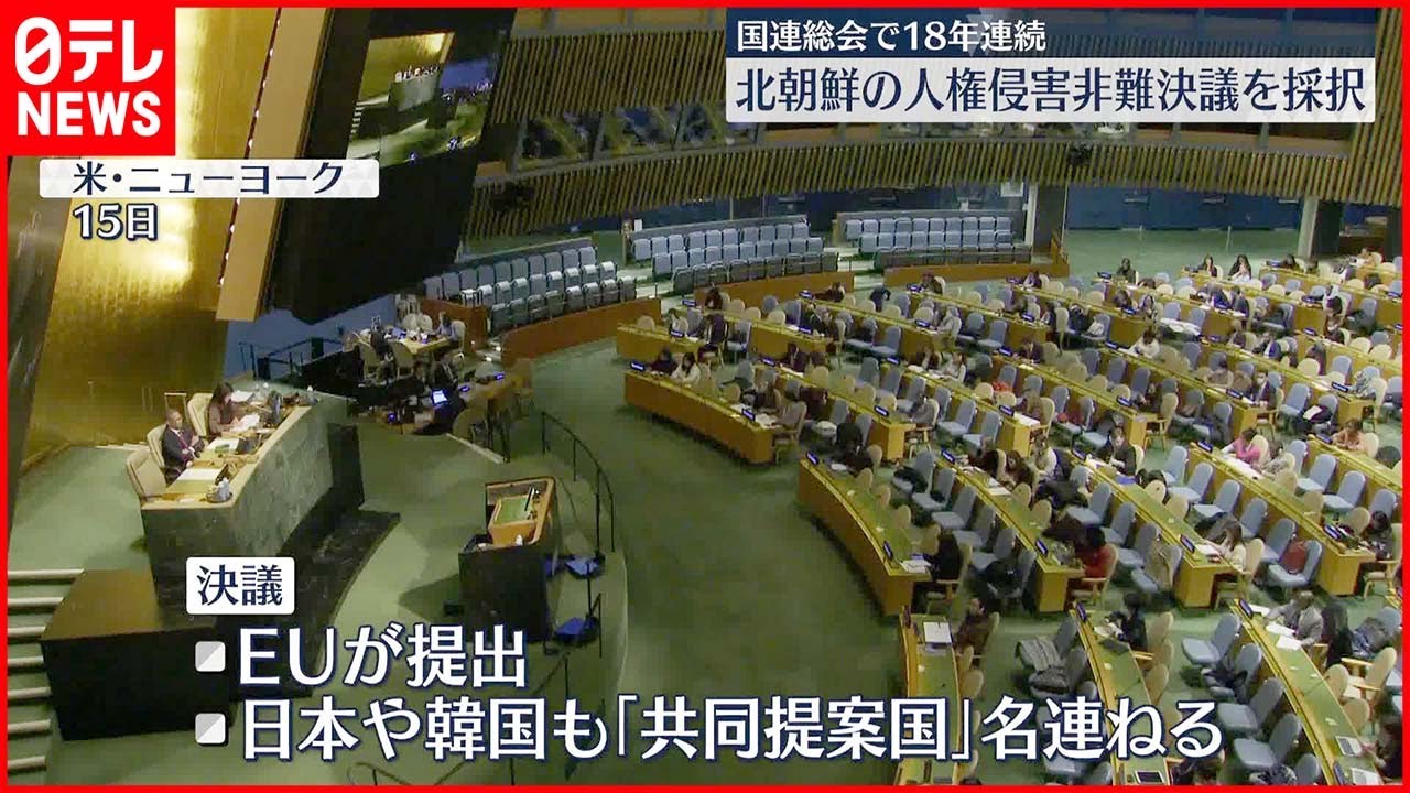 【国連総会】北朝鮮の人権侵害非難決議  18年連続で採択