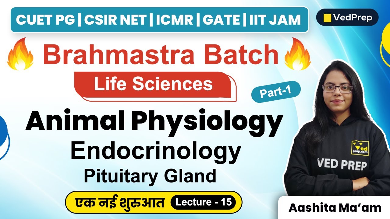 Animal Physiology | Life Sciences | CUET PG | CSIR NET | GATE | IIT JAM | VedPrep Biology Academy
