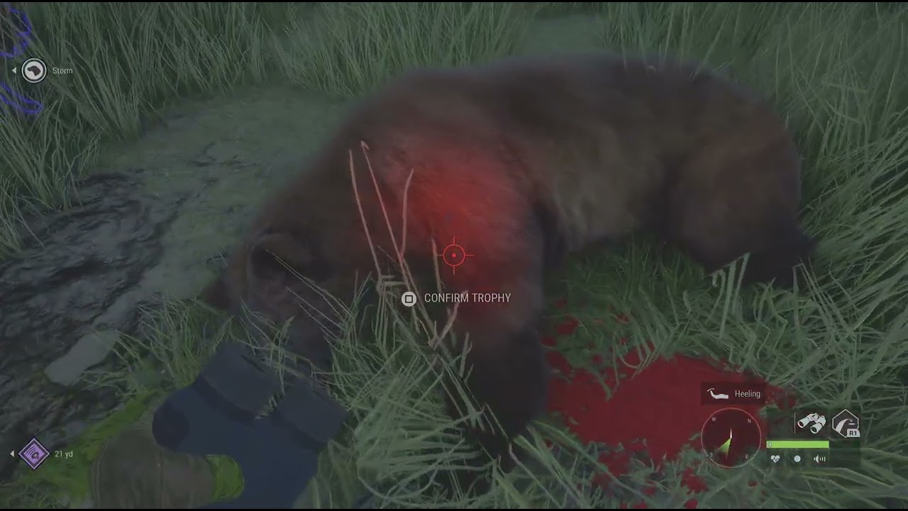 theHunter: Call of the Wild_20260123215734