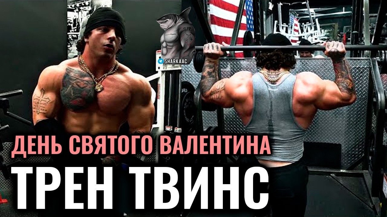 ДЕНЬ СВ. ВАЛЕНТИНА КОГДА ТЫ ОДИН | ТРЕН ТВИНС НА РУССКОМ