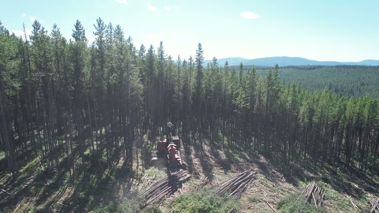 MONTANA LOGGING PART 4