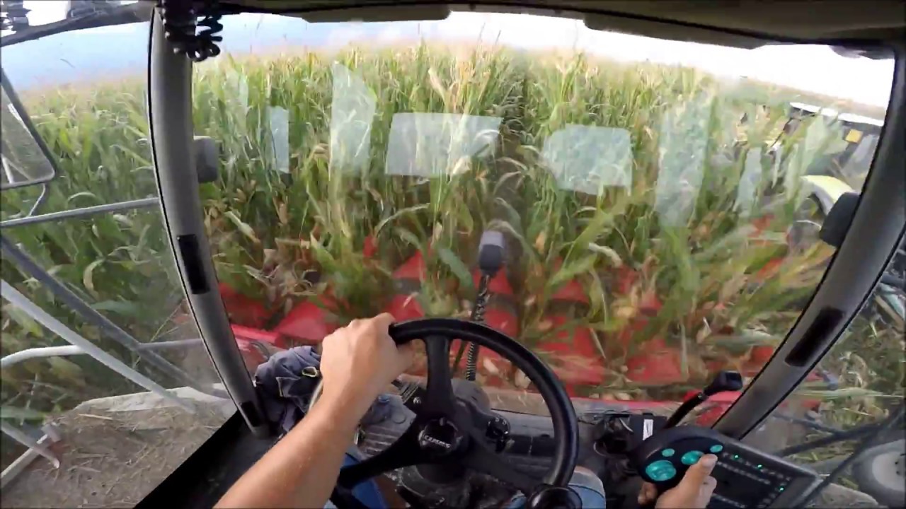 |CabView| CLAAS JAGUAR 850 & CAPPELLO 6 file - Pastone 2017 *HD*