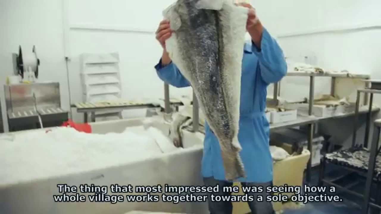 Chef Lorenzo - The secret of Icelandic cod