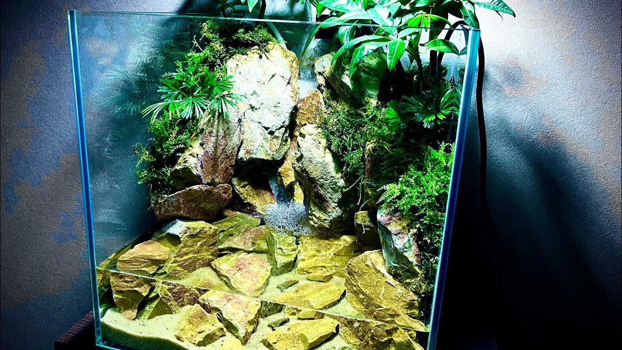 植物が生い茂る滝　A waterfall overgrown with plants