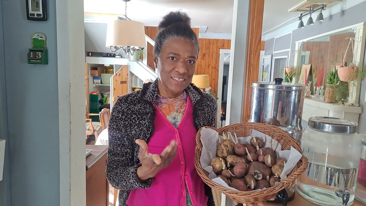 SIMPLE COUNTRY LIVING | MORNING CHORES | MAKING STUFF IN THE KITCHEN