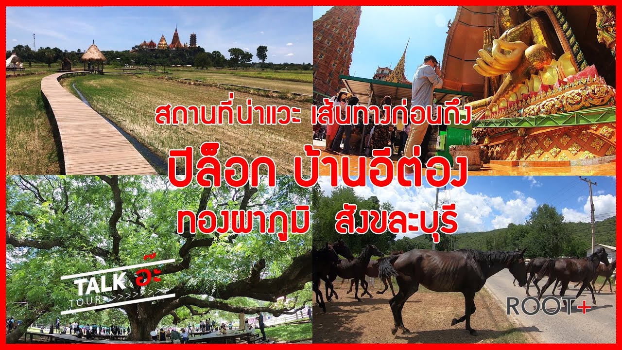 สถานที่น่าแวะก่อนเที่ยวปิล็อก ทองผาภูมิ สังขละบุรี / วัดถ้ำเสือ มีนาคาเฟ่ ต้นจามจุรียักษ์ ม้ามาไง?