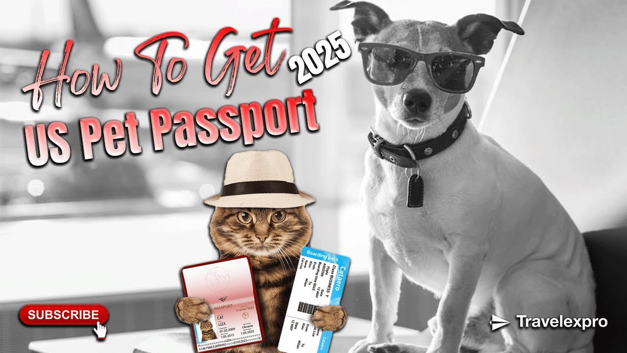 How to Get a US Pet Passport in 2025 🐶✈️ | Stress-Free Pet Travel Guide!