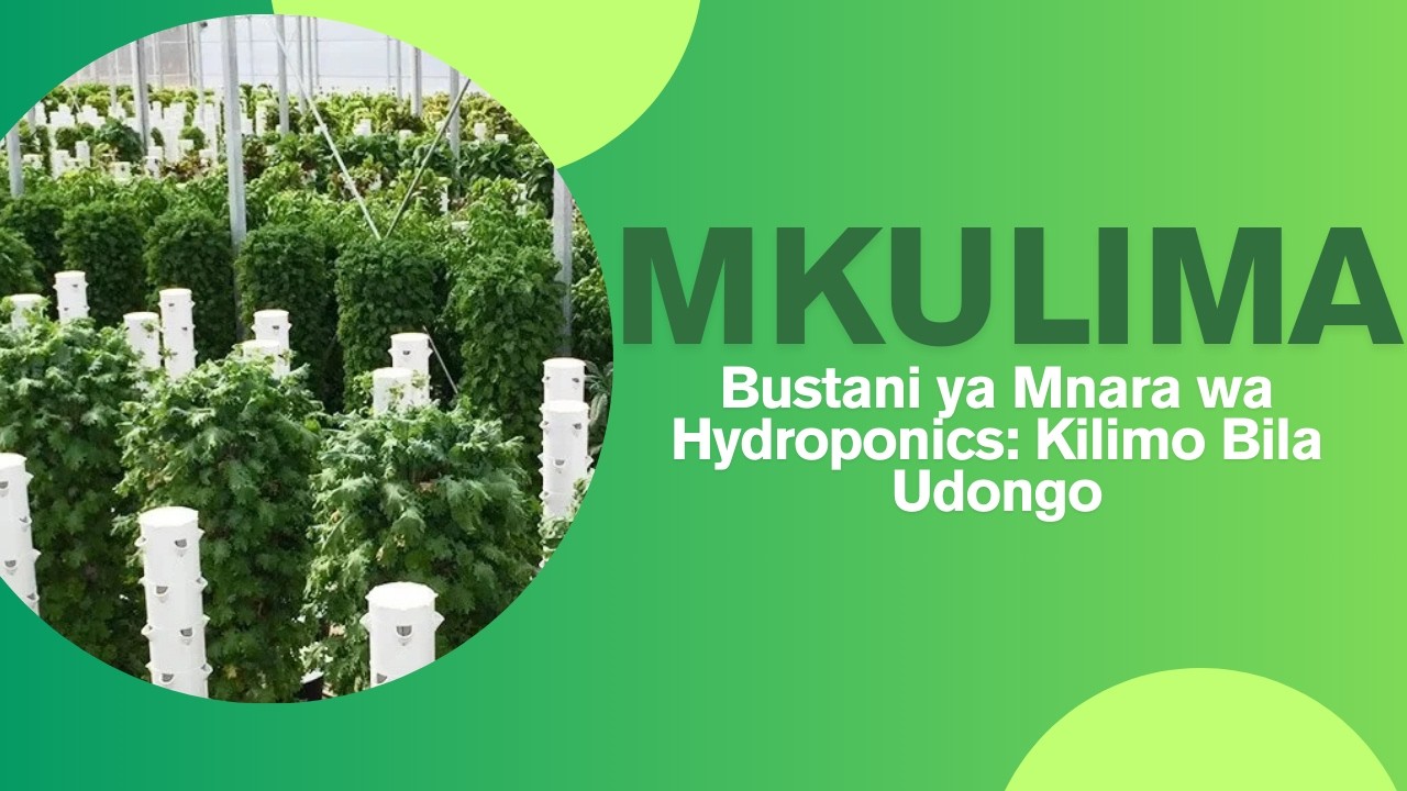 Mkulima | Bustani ya Mnara wa Hydroponics (Kilimo Bila Udongo)