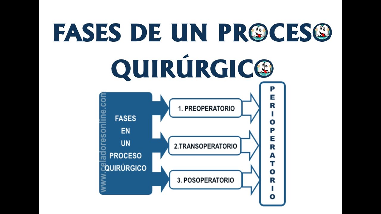 FASES DE UN PROCESO QUIR&Uacute;RGICO