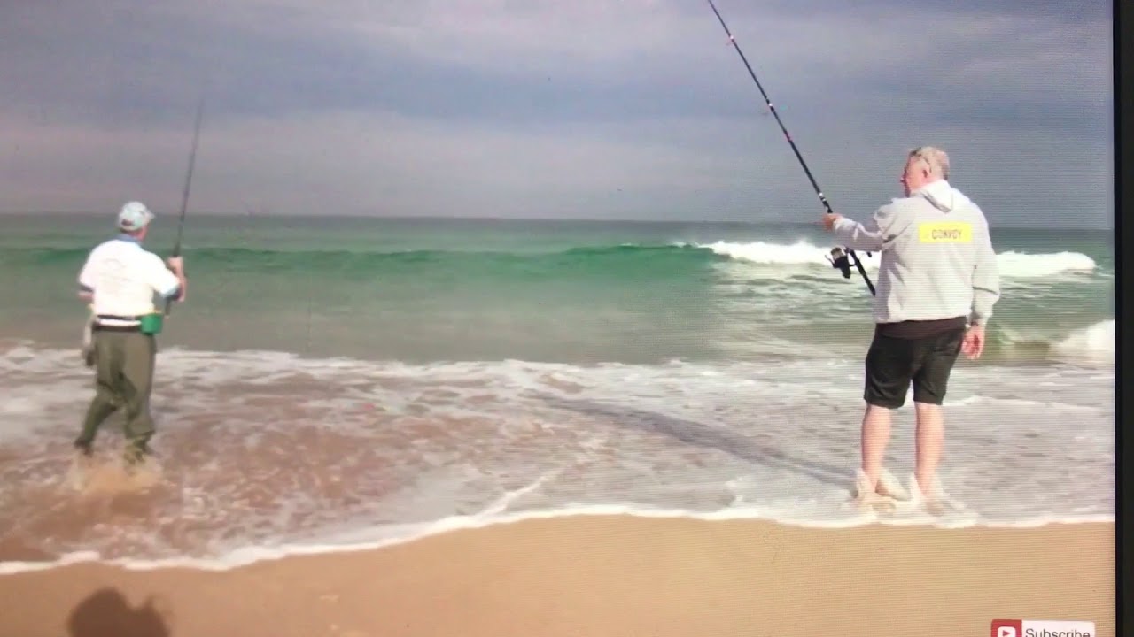 Guided Beach Fishing Illawarra