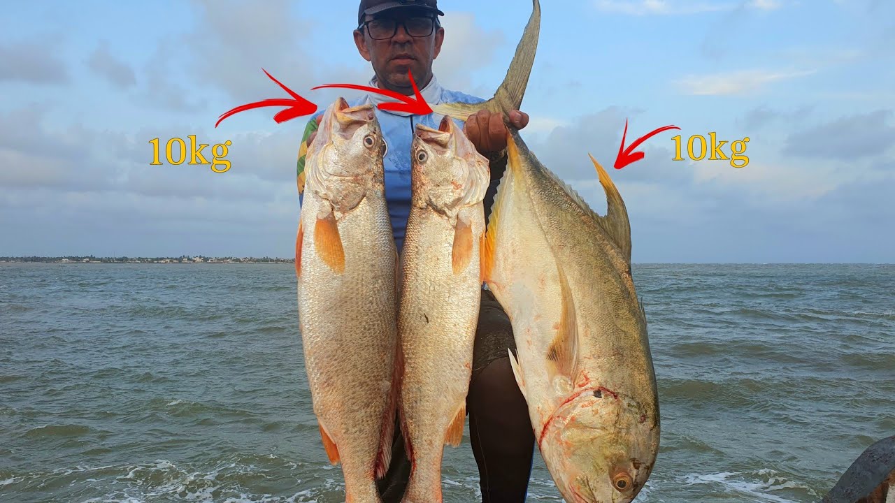 INCRÍVEL 20KG DE PEIXE EM UMA PESCARIA!! SÓ PEIXE GIGANTE!! PESCARIA EM BUSCA DOS GIGANTES NO VERÃO!