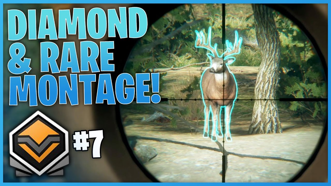 Diamond & Rare Montage #7 | theHunter Call Of The Wild