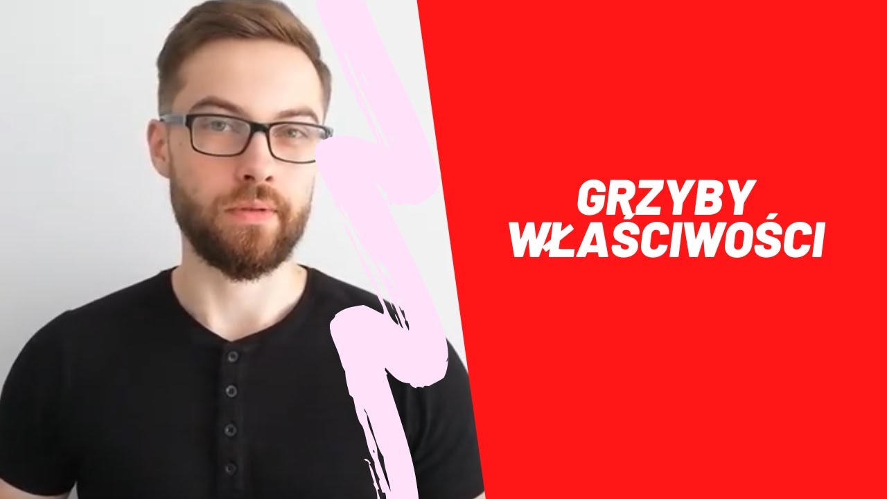 Grzyby właściwości i charakterystyka w gastronomii
