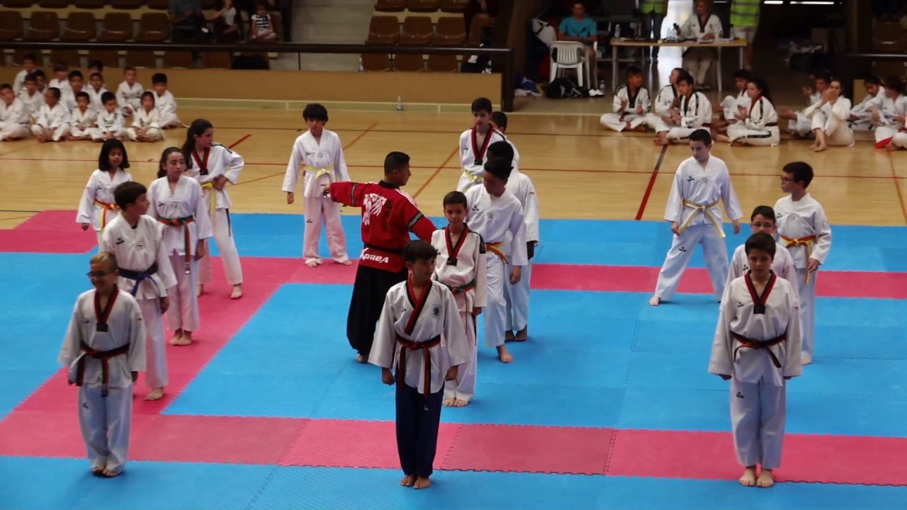 EXHIBICIÓN Club Taekwondo Yecla JIn