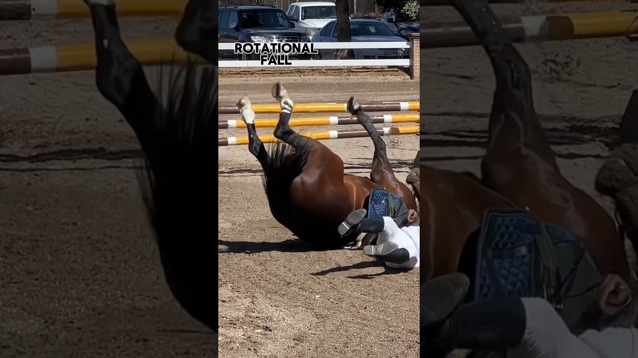 So scary to see your horse and trainer! 😢 April 2022 🗓️  #gilaryeq #equestrian #horseriding #fail