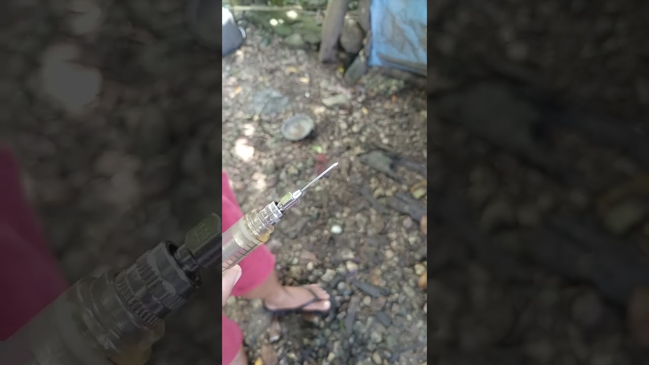 gonadin 250 pampalandi sa alagang baboy