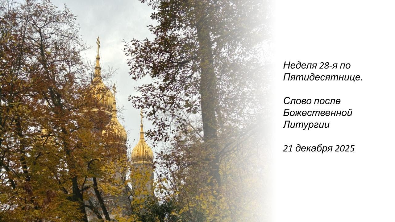 Неделя 28-я по Пятидесятнице.  Слово за Божественной Литургией - 21.12.2025