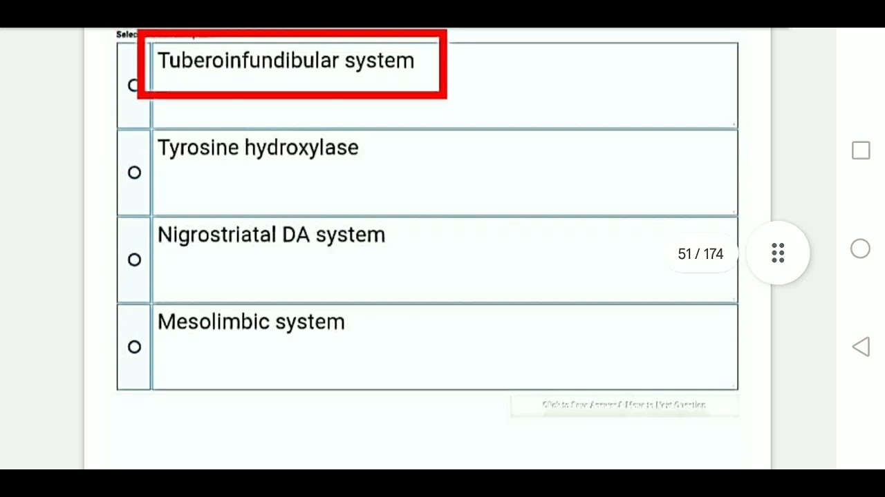 PSY610 || Neurological Bases of Behavior | Quiz 3 | 150+  Solved MCQs Mega File for Exam Prep