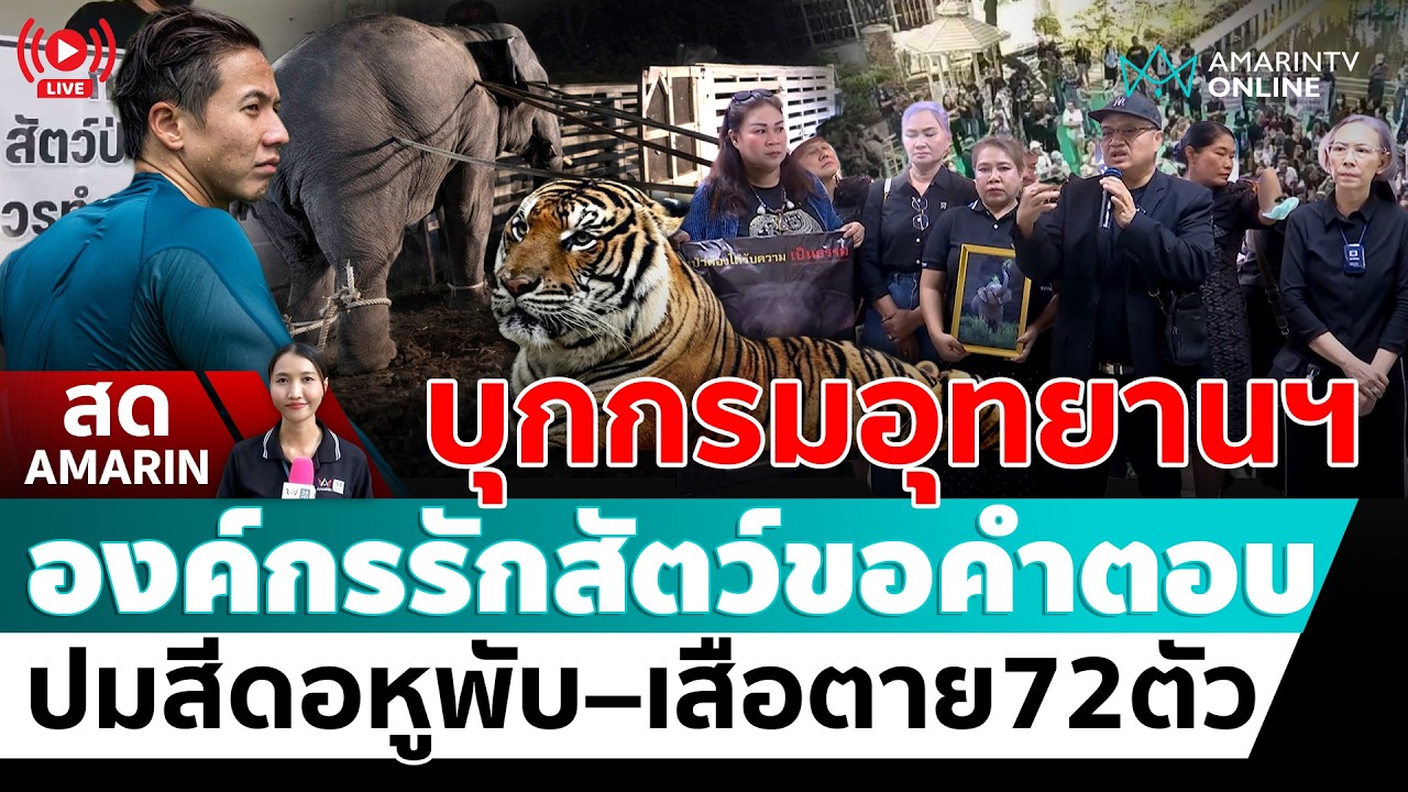 [🔴 LIVE ] องค์กรรักสัตว์ บุกกรมอุทยานฯ จี้ปมสีดอหูพับ – เสือตาย 72 ตัว | สดอมรินทร์