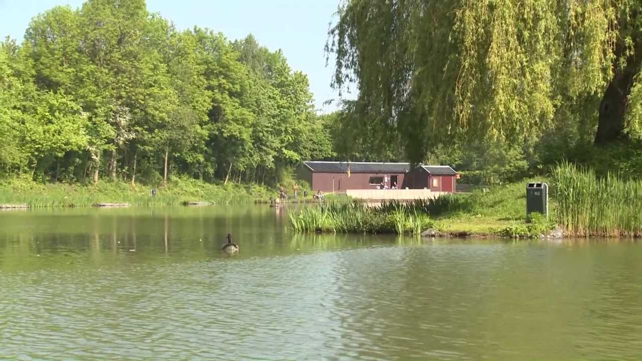 Visvijver, de Driepoel - Geleen
