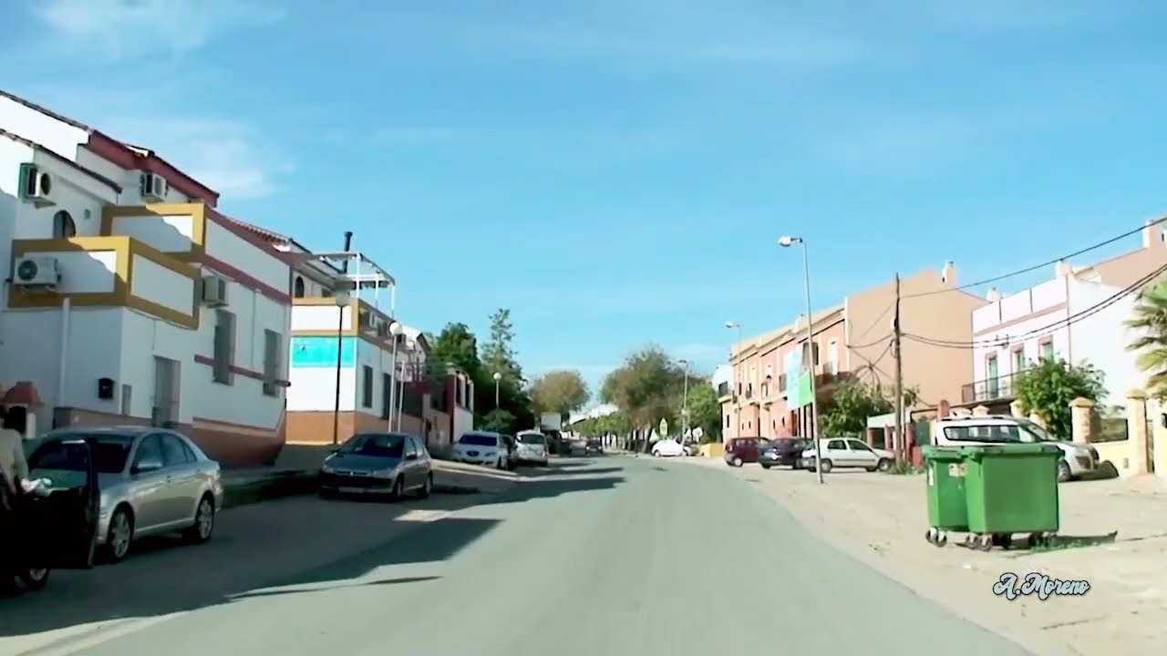 Paseo por Aznalcóllar [2011]