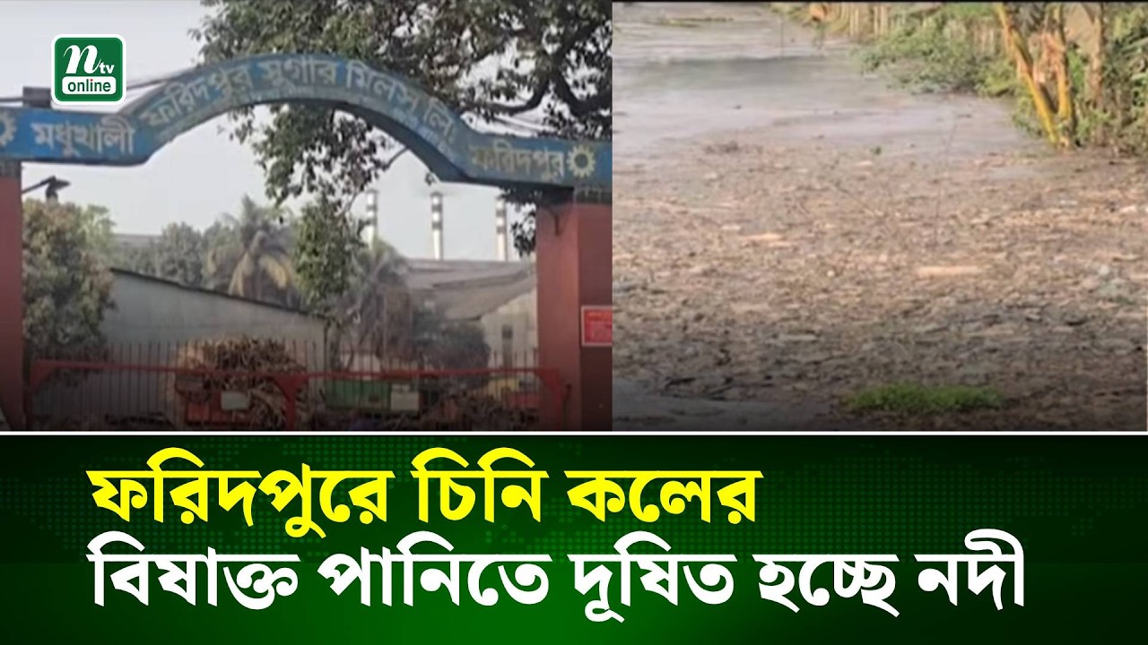 ফরিদপুরে চিনি কলের বিষাক্ত পানিতে দূষিত হচ্ছে নদী | NTV News