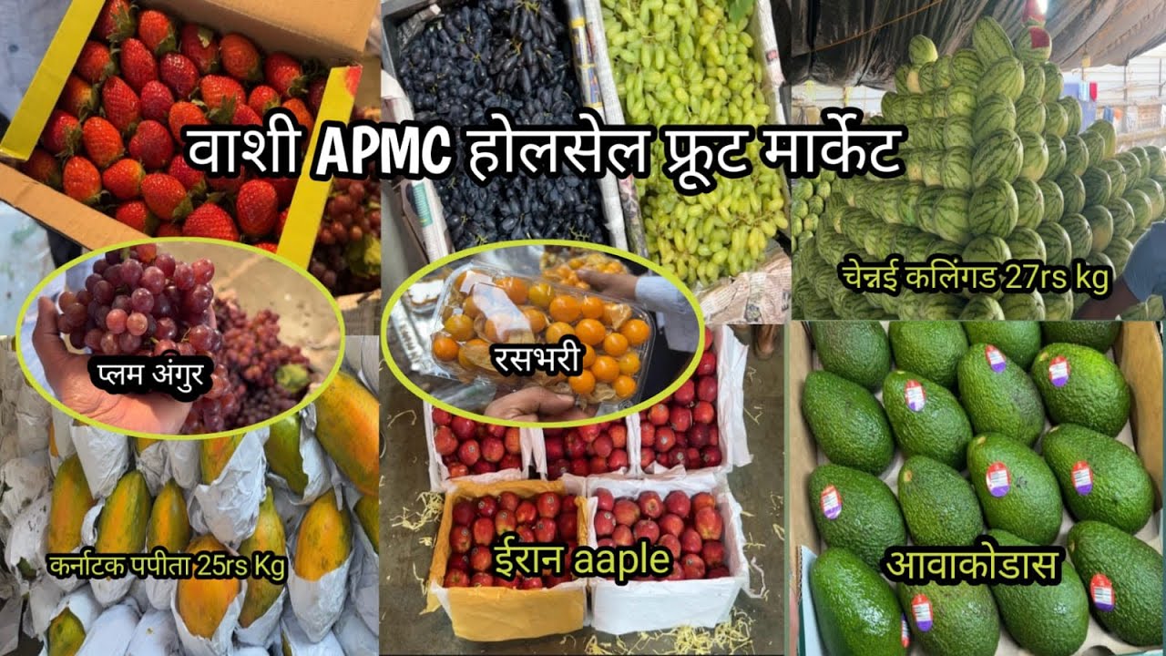 Vashi APMC Fruits Market | Navi Mumbai Vashi APMC Wholesale Fruit Make |