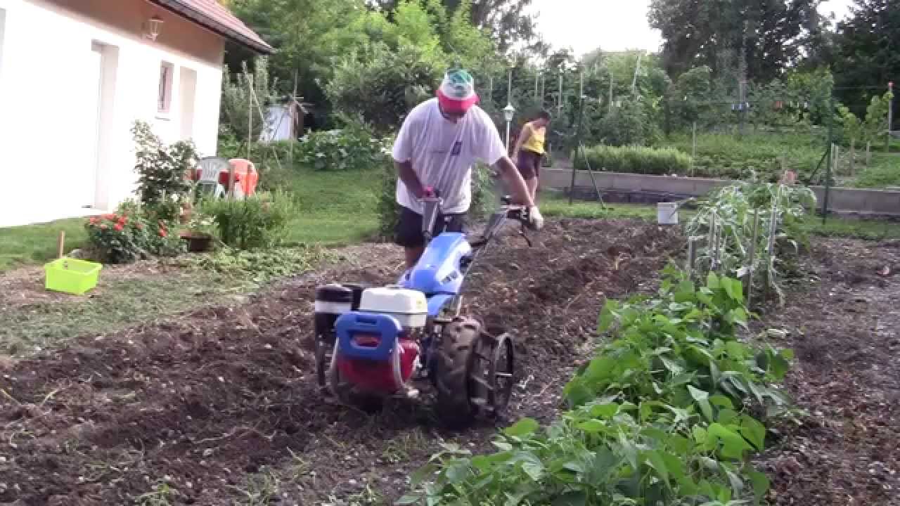 RECOLTE POMME DE TERRE 2015