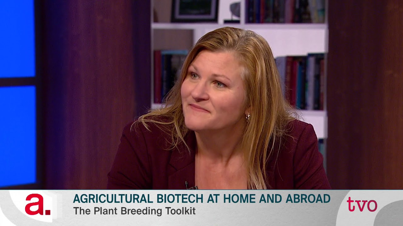 Agricultural Biotech at Home and Abroad